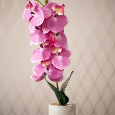 Проживание в семье Clicktheflat Jasna Palace Of Culture